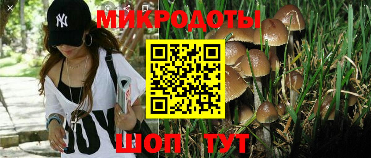 Галлюциногенные грибы прущие грибы Нововоронеж