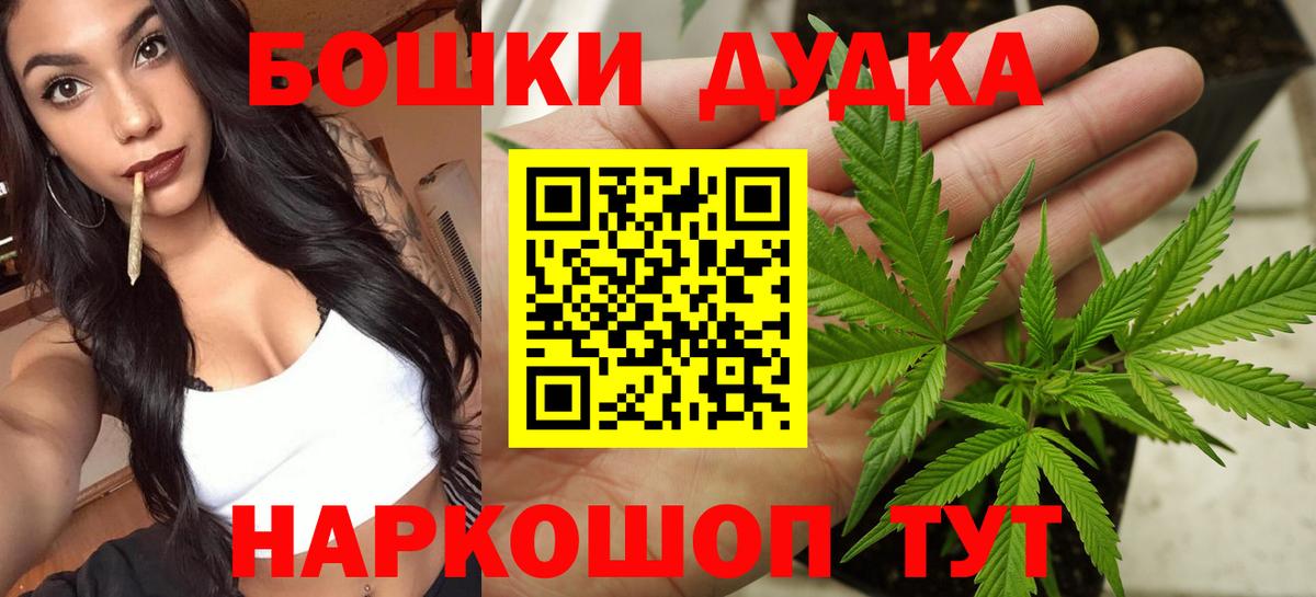 Каннабис сатива Нововоронеж