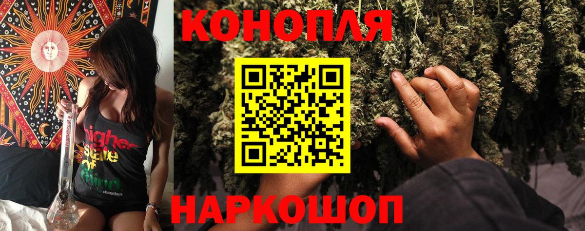Нововоронеж  Бошки марихуана план  Канабис ГИДРОПОН  Бошки Шишки планчик  Вход с VPN 